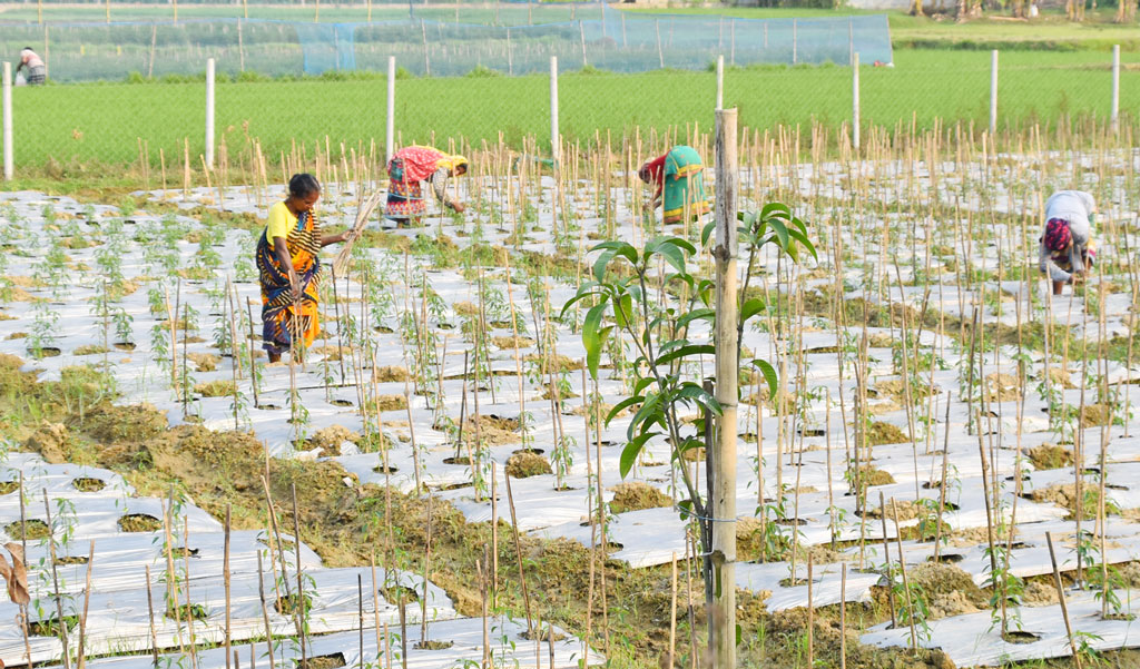 দিনের ছবি (২৪ মার্চ, ২০২৪)