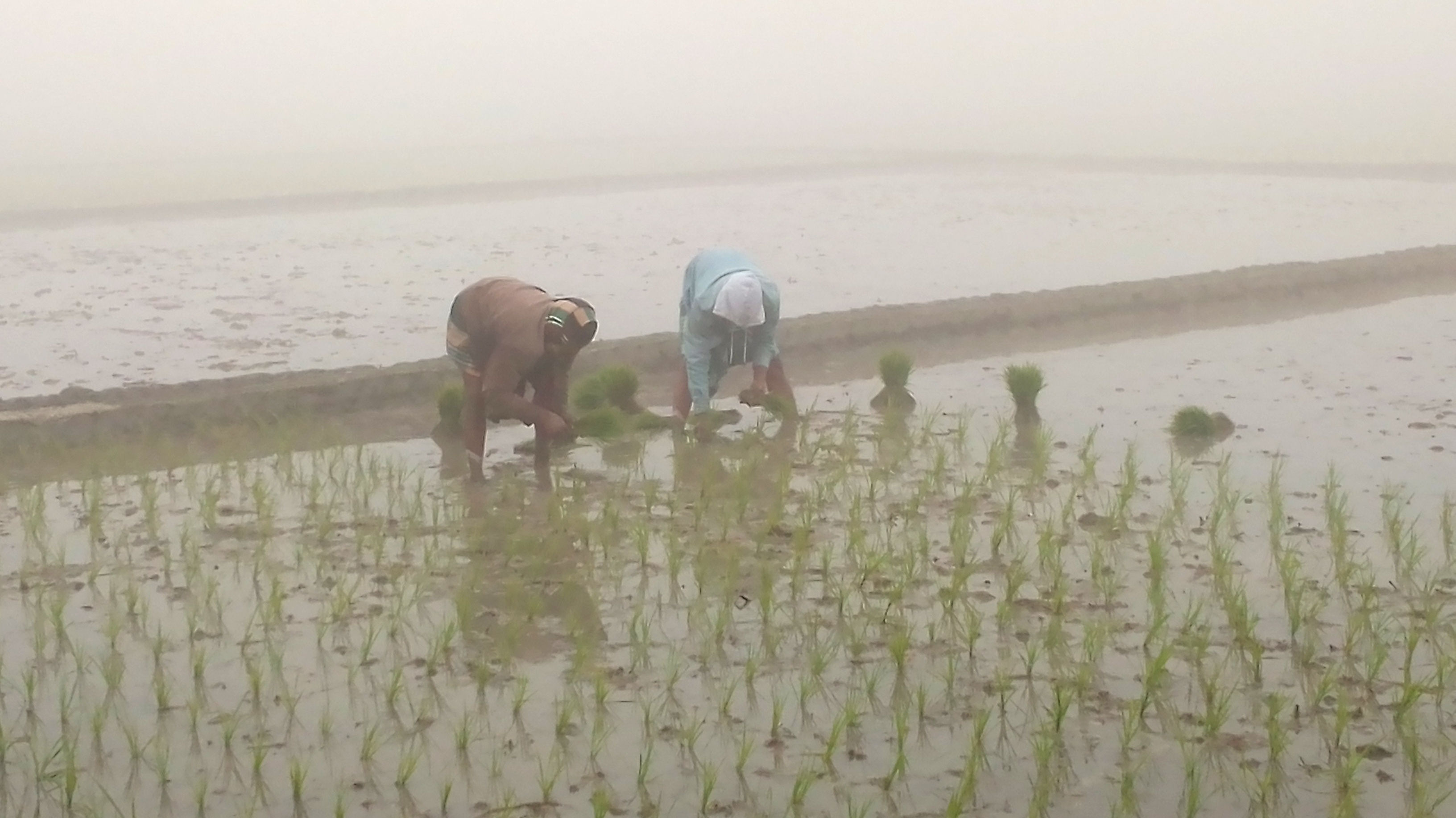 আবারও সর্বনিম্ন তাপমাত্রার কবলে দিনাজপুর