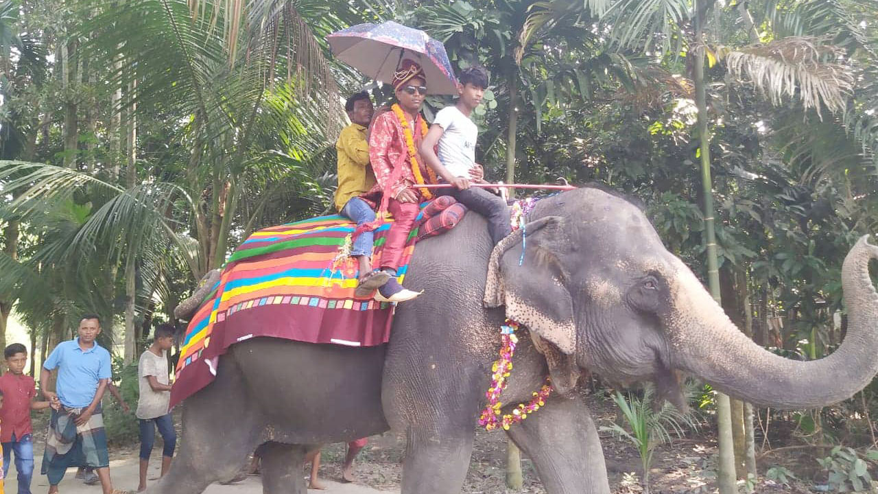 নানির ইচ্ছেপূরণে হাতির পিঠে চড়ে সালমান শাহের বিয়ে