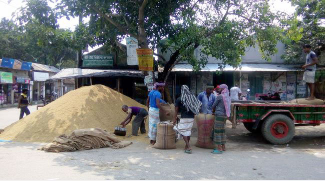 ২৭ টাকা কেজি দরে ধান কিনছে সরকার