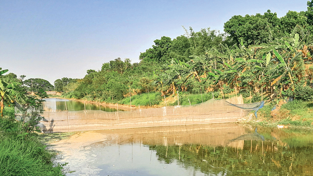 প্রাণ যায় যায় কুষ্টিয়ার হিসনার