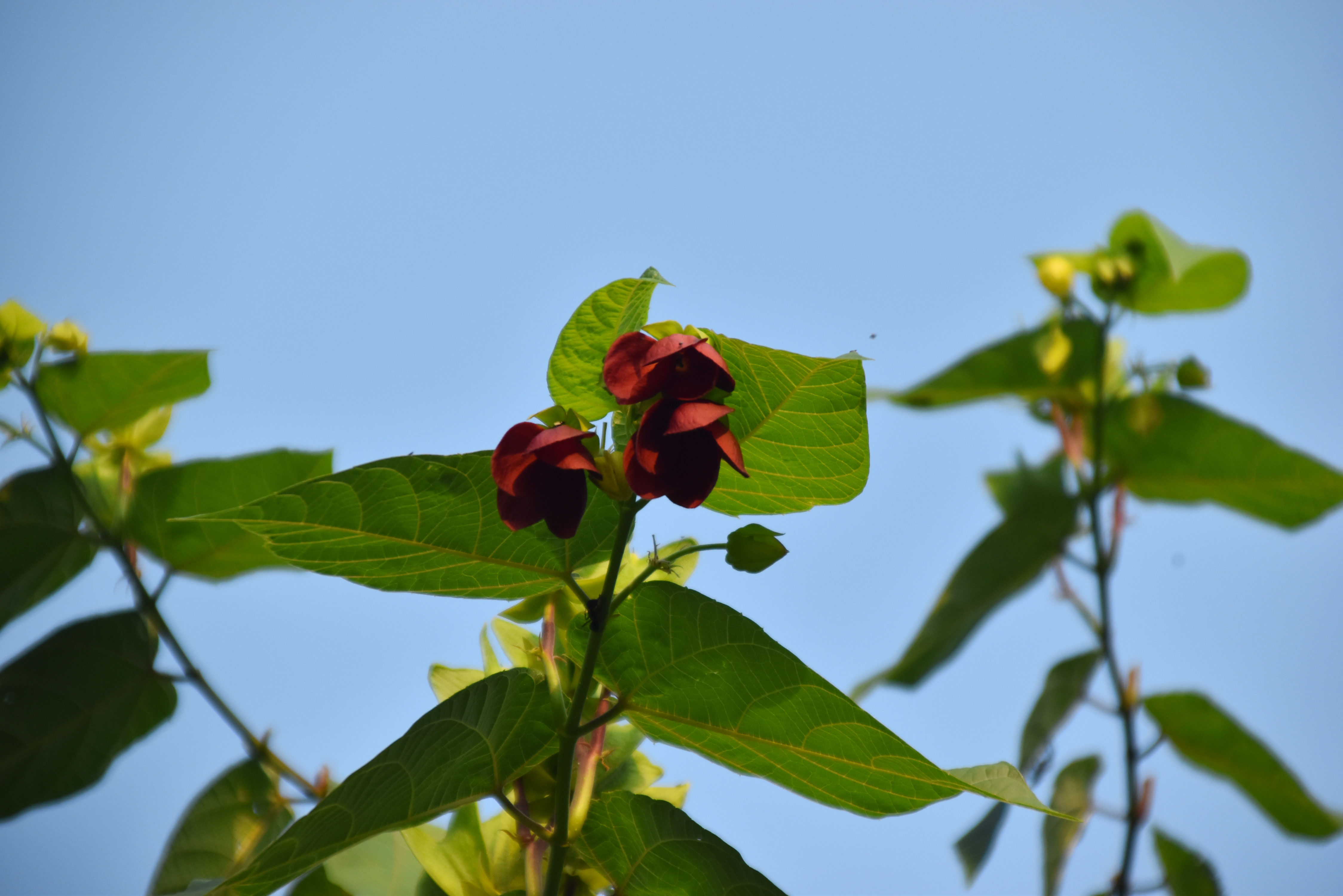 দিনের ছবি (১৩ জুন, ২০২৫)