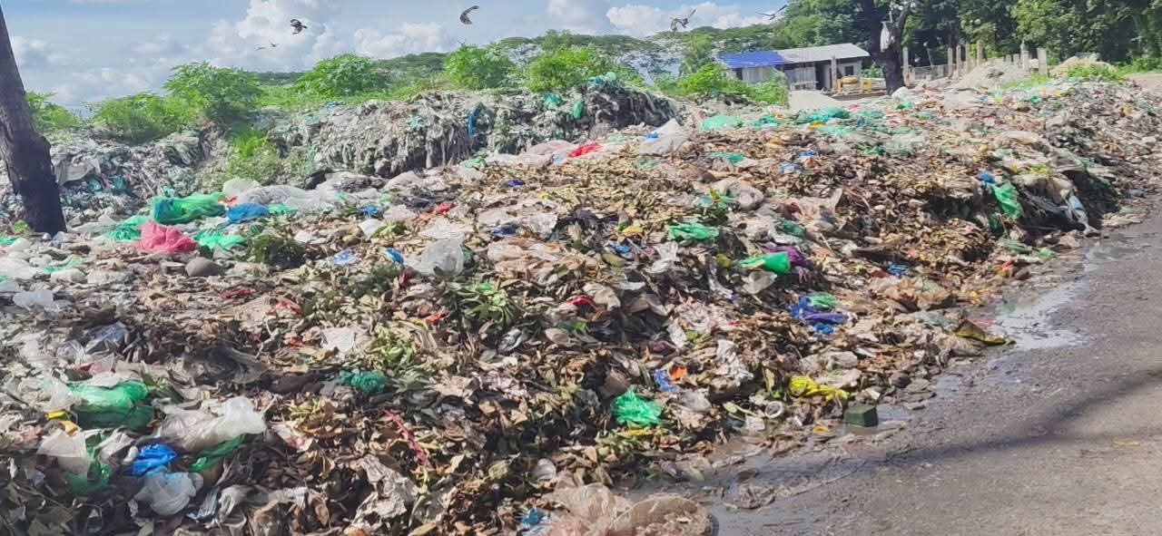 হোমনায় রাস্তায় পৌরসভার ময়লার স্তূপ, দুর্গন্ধে অতিষ্ঠ জনজীবন