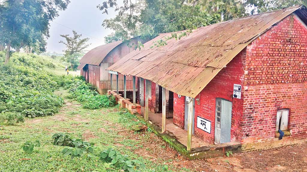সিলেট-আখাউড়া রেলপথ: বন্ধ ৭ স্টেশন যেন ‘ভুতুড়ে বাড়ি’