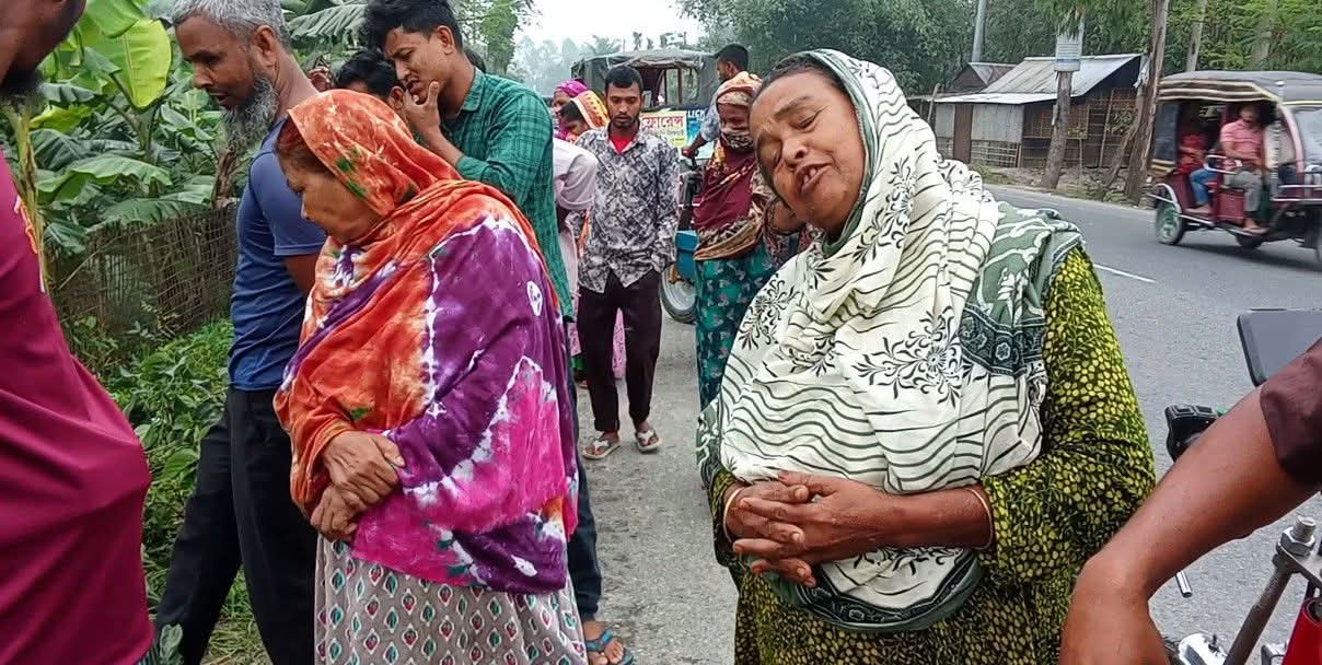 নীলফামারীতে ট্রাকের ধাক্কায় দুই ভাই নিহত