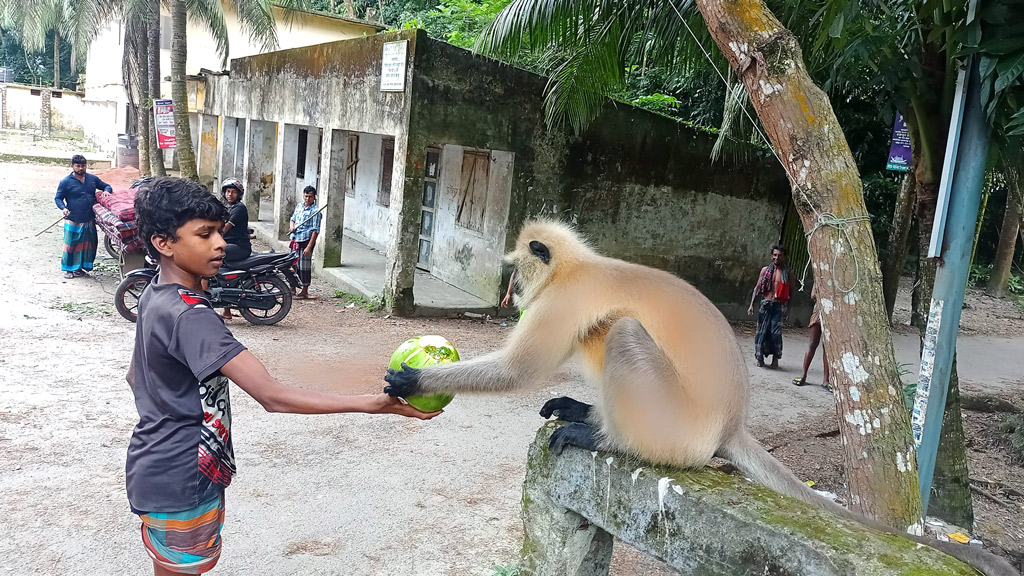 গ্রামবাসীর অতিথি !