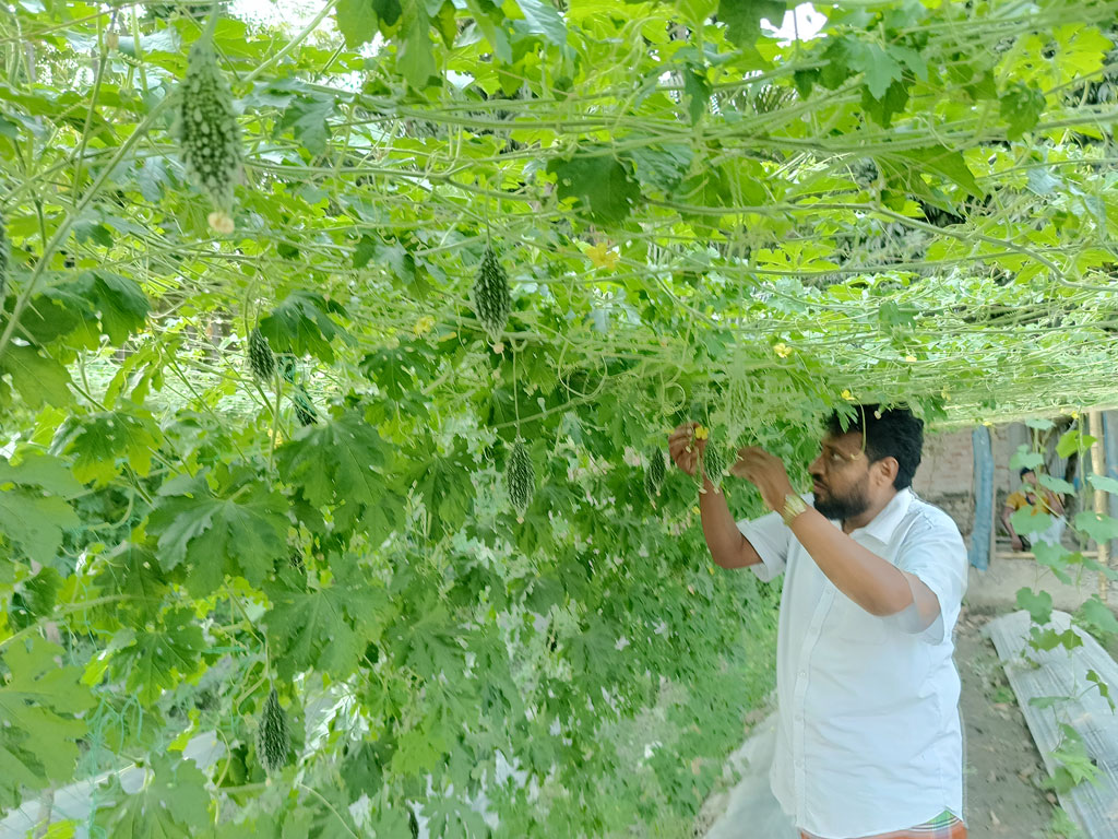 জনপ্রিয় ইউপি চেয়ারম্যান থেকে আদর্শ কৃষক মানিক