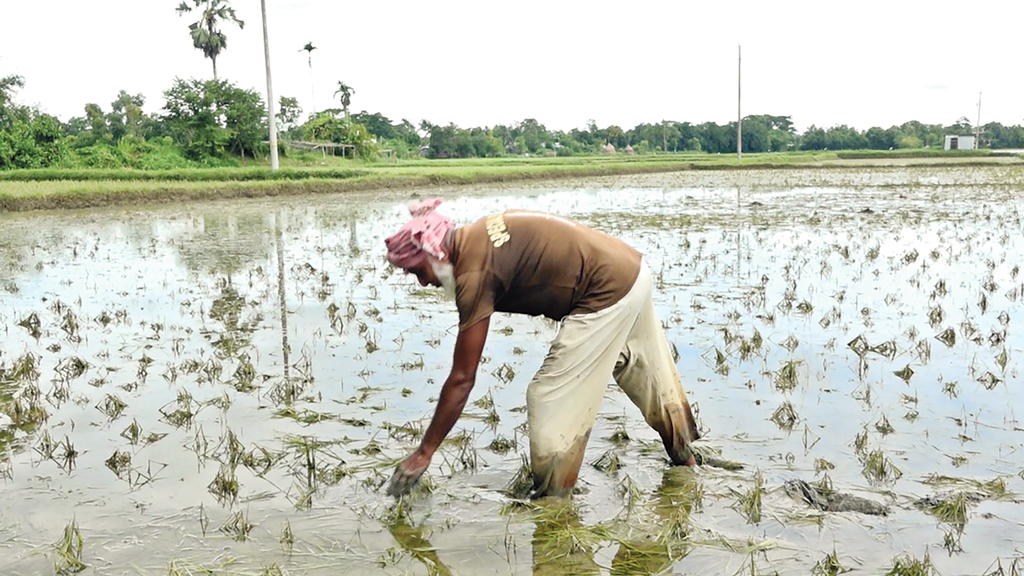 বন্যায় ৭ জেলায় ক্ষতি ৫ হাজার কোটি টাকা