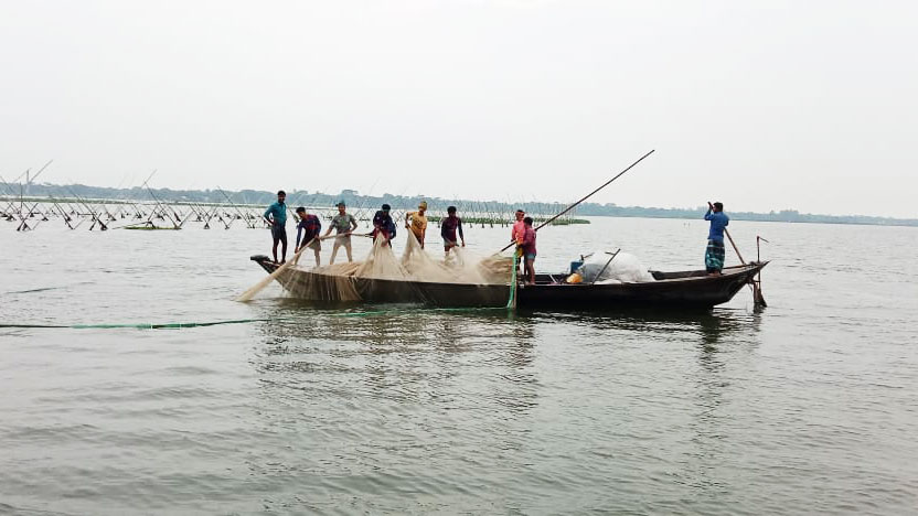 রামগতির মেঘনায় ইলিশের আকাল, হতাশায় জেলেরা