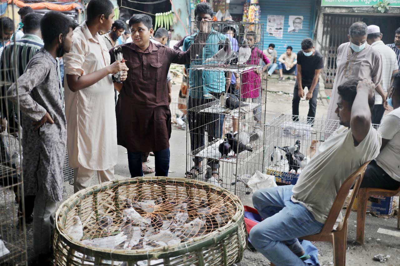 কবুতরের খাঁচা নিয়ে বসে আছেন বিক্রেতা। সারা বছরই বিক্রিবাট্টা চলে বেশ। ছবি: সৈয়দ মাহামুদুর রহমান