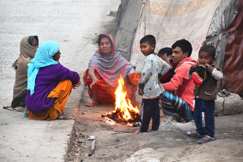 দিনের ছবি (২৩ জানুয়ারি ২০২৫)