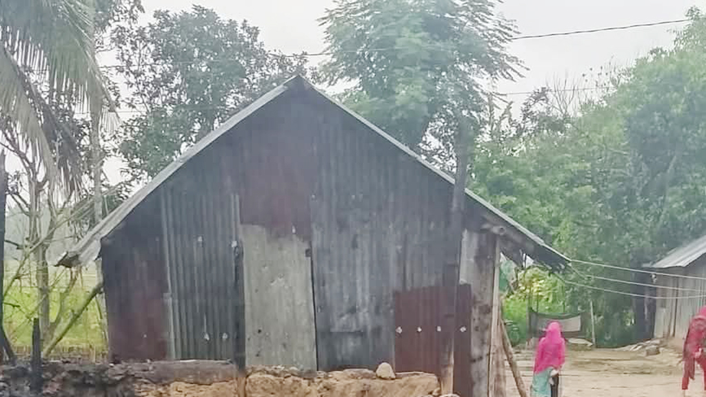আগুনে নিঃস্ব দুই ভাই, গোয়ালে পুড়ল ৩০ গবাদিপশু