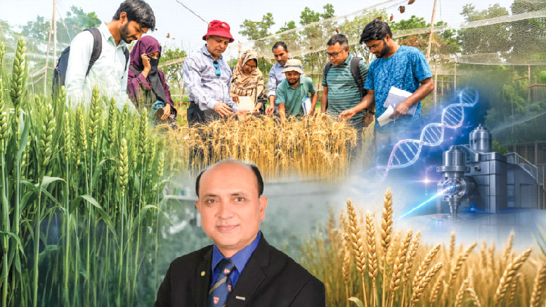 ব্লাস্ট-প্রতিরোধী গমের নতুন প্রজাতি উদ্ভাবন