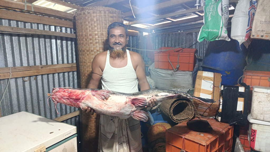 ভোলায় জালে ধরা পড়া ১৩ কেজির আইড় মাছ