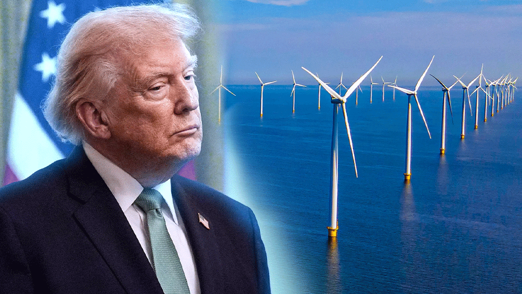 বায়ুবিদ্যুৎ প্রকল্প বন্ধ করতে ফরাসি কোম্পানিকে ১০০ কোটি ডলার দিচ্ছে ট্রাম্প প্রশাসন