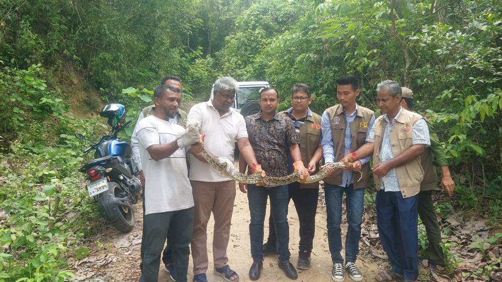রাঙামাটি থেকে উদ্ধার অজগর সাপ কাপ্তাই জাতীয় উদ্যানে অবমুক্ত