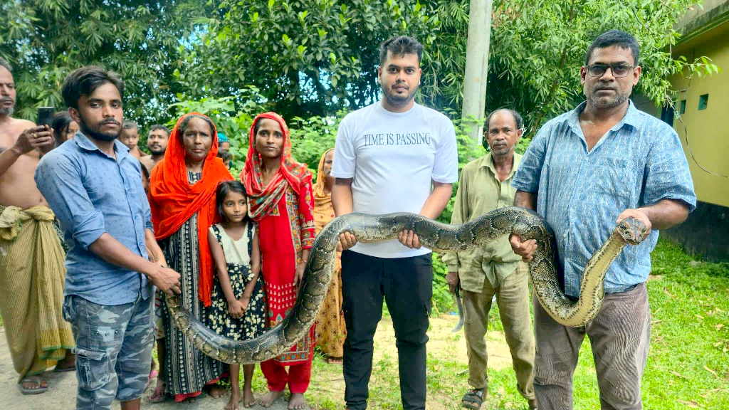 শ্রীমঙ্গলে ২৫ কেজি ওজনের অজগর সাপ উদ্ধার