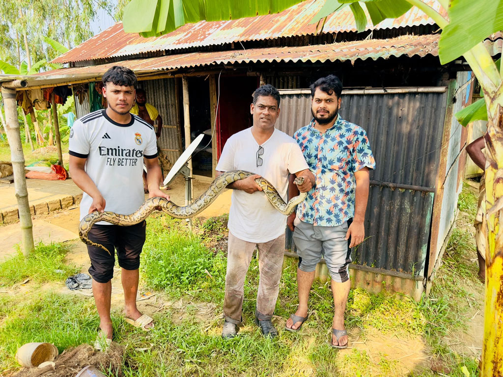 হাইল হাওরে জালে আটকে ছিল অজগর সাপ