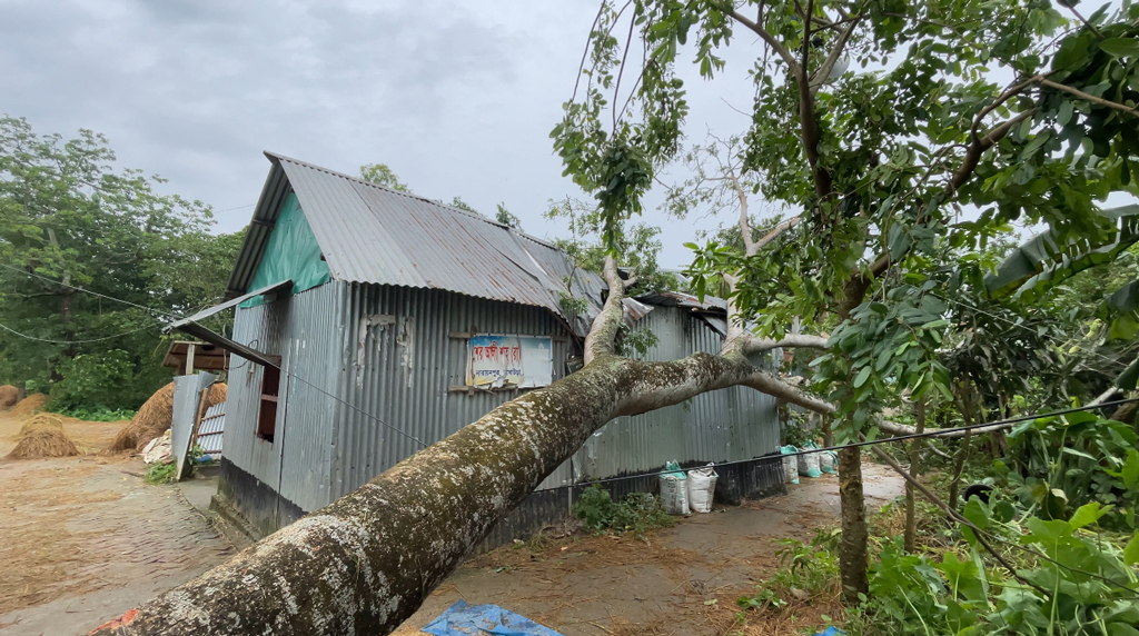 আখাউড়ায় কালবৈশাখীর তাণ্ডবে লন্ডভন্ড বাড়িঘর, ফসলের ক্ষতি