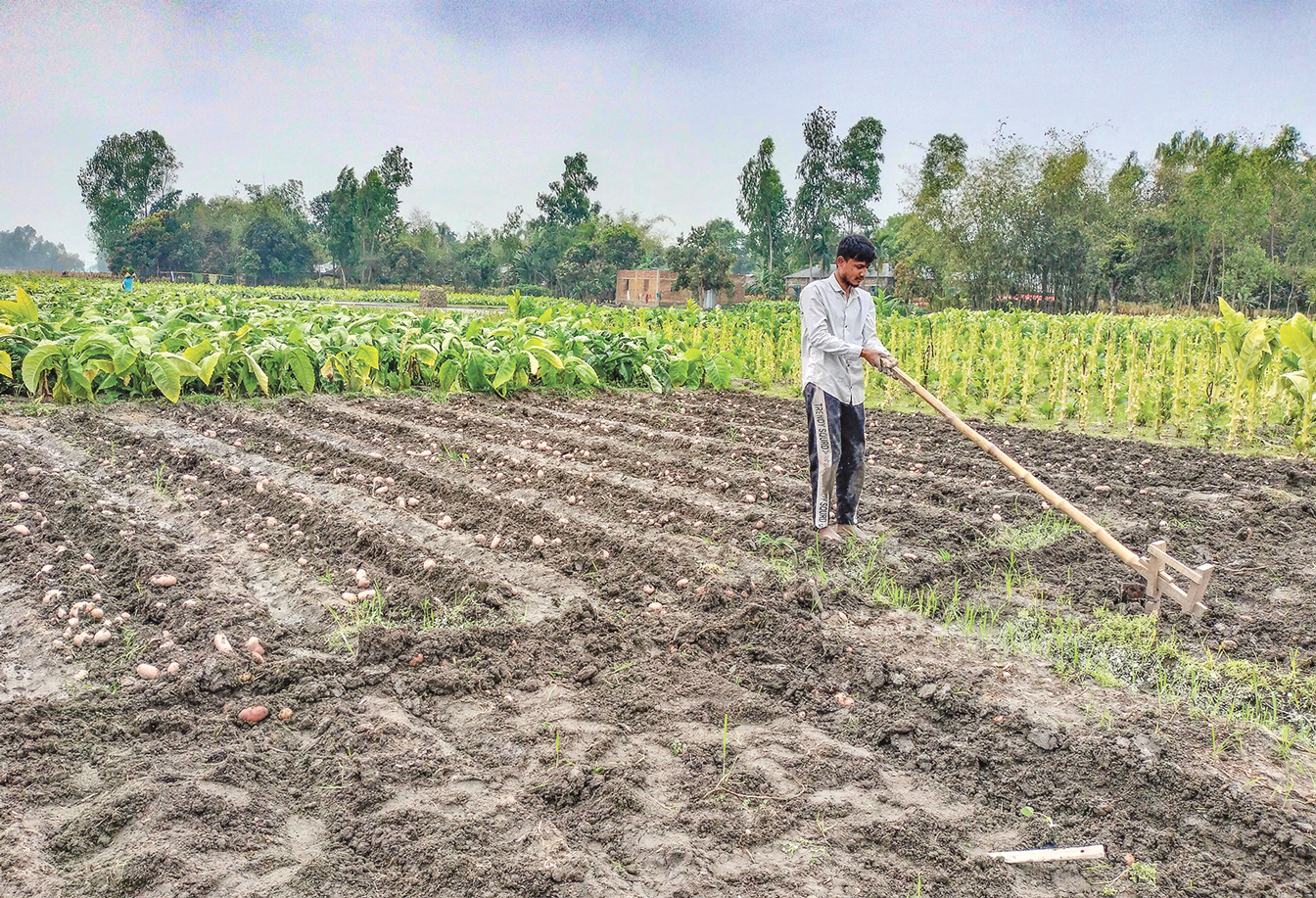 রংপুর অঞ্চল: কৃষকের নিরানন্দ ঈদ