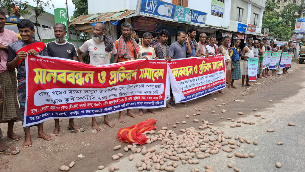 নওগাঁয় সড়কে আলু ফেলে মানববন্ধন
