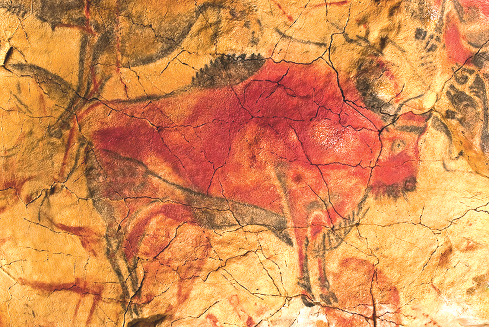 আলতামিরার গুহাচিত্র