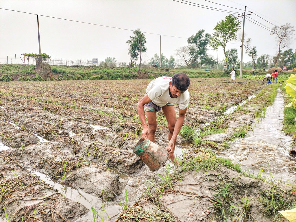 পানিতে ডুবেছে আলুখেত লোকসানের শঙ্কায় কৃষক