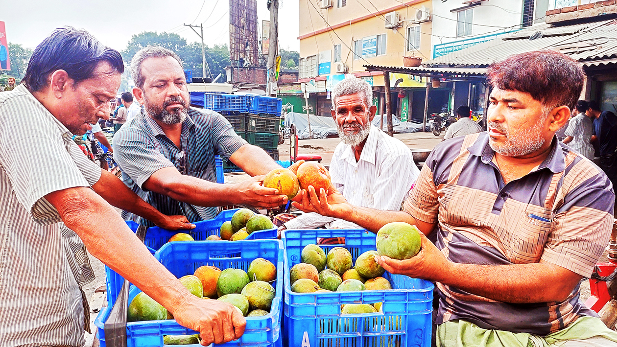 বানেশ্বর হাট: আমের বাজার এখনো জমজমাট