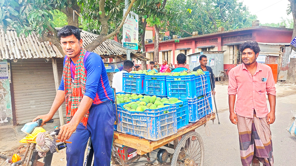 রাজশাহী: বাজারে অপরিপক্ব আম, তদারকি নেই প্রশাসনের