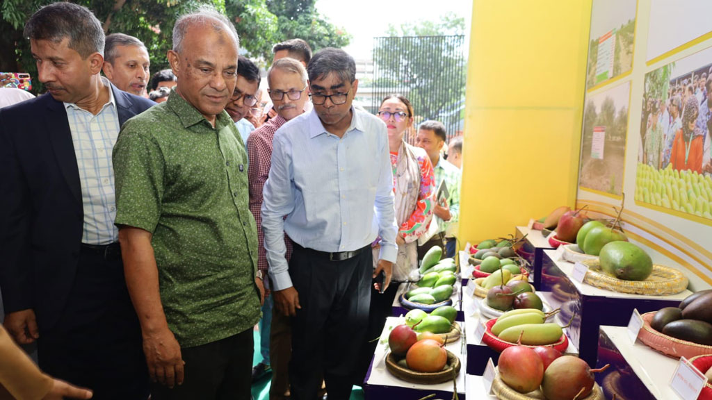 যুক্তরাষ্ট্র, সৌদি আরবসহ পাঁচ দেশে যাচ্ছে ১৩ টন আম