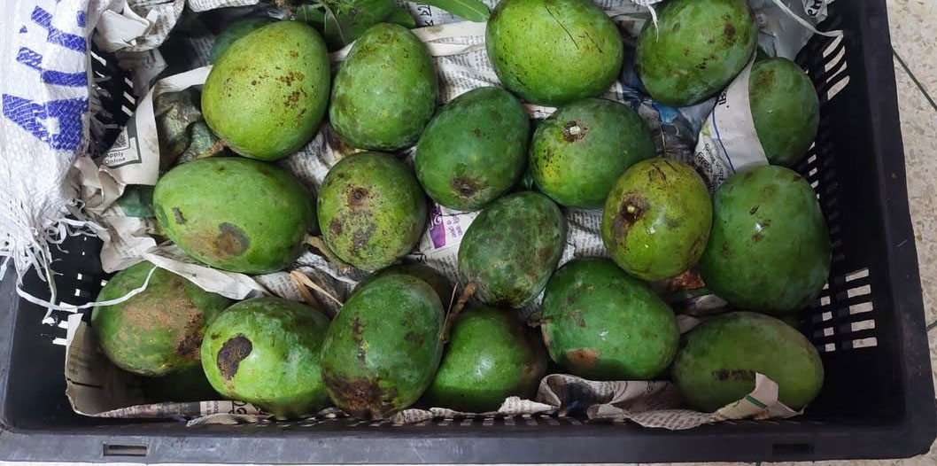 ডেলিভারিতে বিলম্ব, আম চুরি, হারিয়ে ফেলা—নানা অভিযোগ কুরিয়ারের বিরুদ্ধে