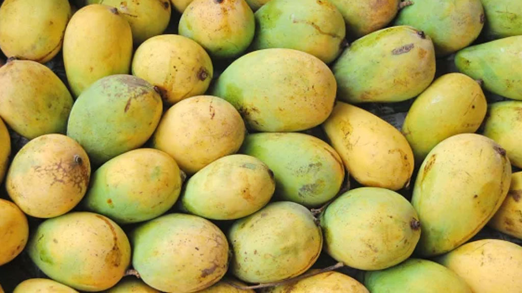 চলতি মাসেই প্রথমবারের মতো চীনে আম রপ্তানি