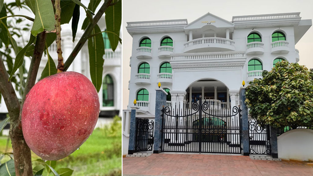 শিল্পপতির স্ত্রীর লাখ টাকার আমগাছ উধাও, থানায় অভিযোগ