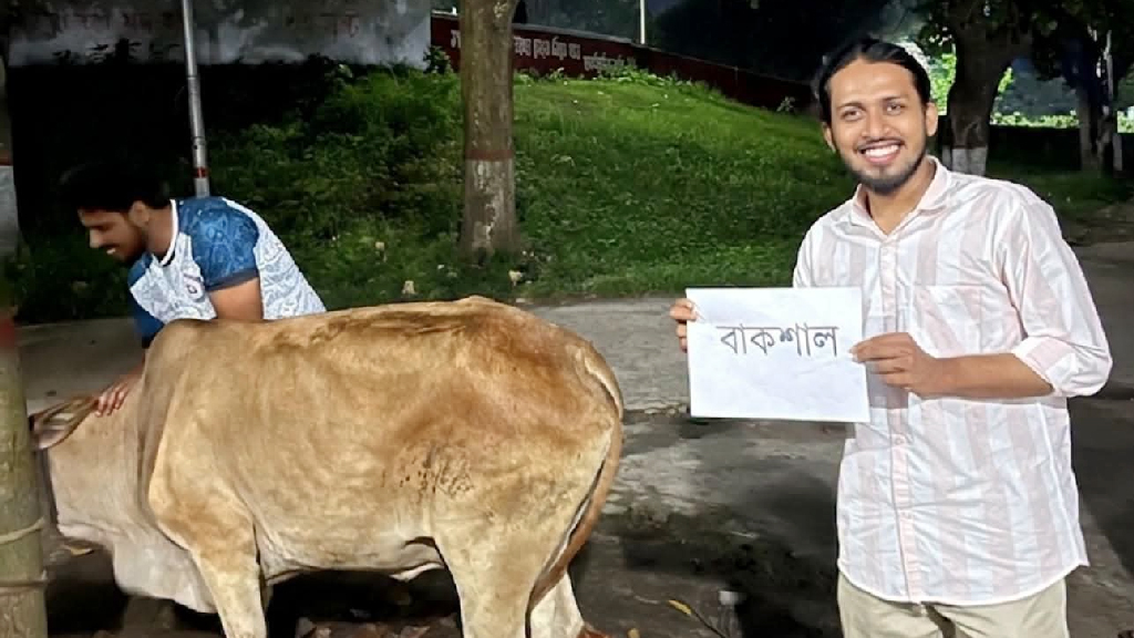 গরুর নাম ‘বাকশাল’ রেখে জবাই, আম্মারের নেতৃত্বে ভোজ