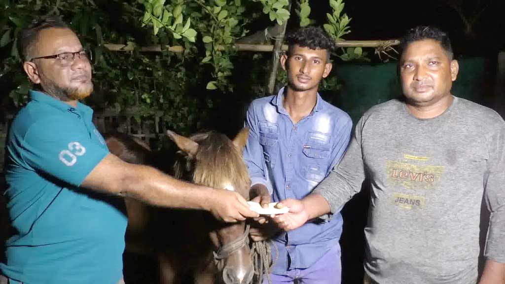 সাতক্ষীরায় অন্ধ ঘোড়ার পরিচর্যাকারী কলেজছাত্র সোহানের পাশে প্রধানমন্ত্রী তারেক রহমান