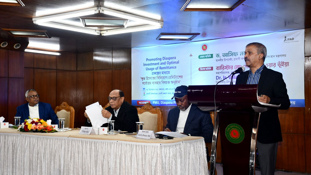 প্রবাসীরা দেশের অর্থনীতির চালিকাশক্তি: আসিফ নজরুল