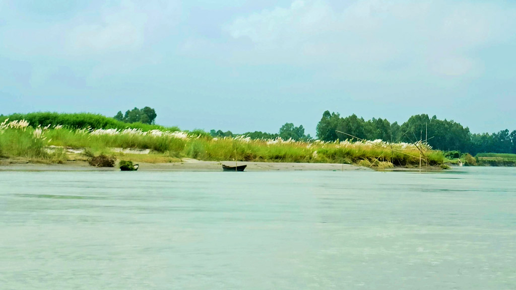 নদীর তীরে বাধা কয়েকটি নৌকা। পাশের জমিতে ফুটেছে কাশফুল। সব মিলিয়ে জন্ম দিয়েছে মনোমুগ্ধকর এক দৃশ্যের। ঘিওর উপজেলার নকীব বাড়ি এলাকার কালীগঙ্গা নদী, মানিকগঞ্জ, ৭ সেপ্টেম্বর। ছবি: আব্দুর রাজ্জাক