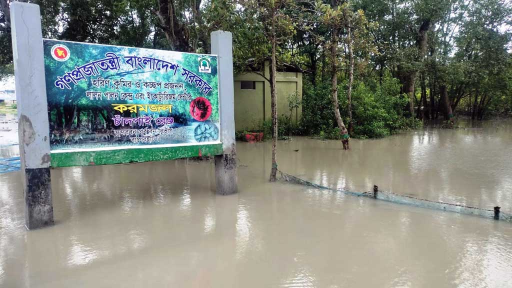 ৫ দিন ধরে জোয়ারে প্লাবিত হচ্ছে সুন্দরবন