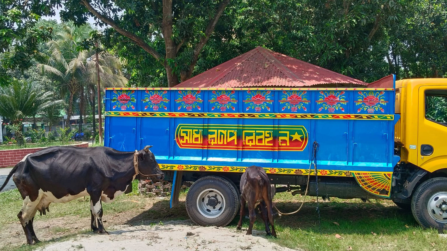 মাদারগঞ্জে ট্রাক দিয়ে গরু চুরি, জনতার ধাওয়া খেয়ে পালাতে গিয়ে চোরের মৃত্যু