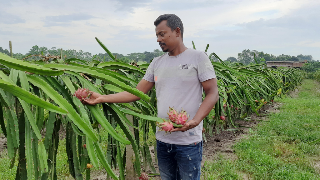 চাকরি ছেড়ে ড্রাগনে হাসি মোর্শেদের