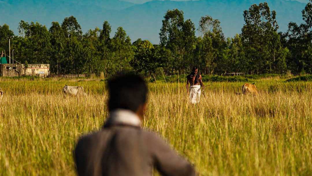 কাঞ্চনজঙ্ঘার দেখা  ঠাকুরগাঁওয়ে