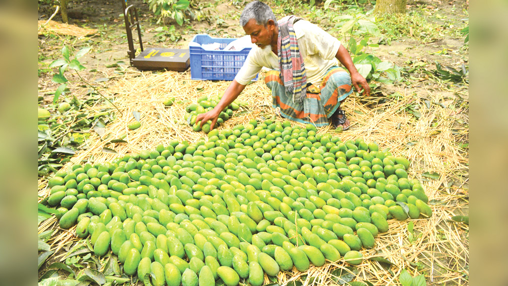 এবার সবাই লাভের আশায়