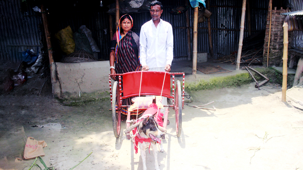 কুকুর রাজা বাবুর গাড়িতে করে চলে দিলীপের ঝালমুড়ির ব্যবসা