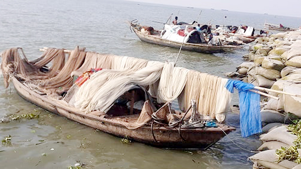 মেঘনায় বেহুন্দি জালের ব্যবহারে হুমকিতে বহু প্রজাতির মাছ