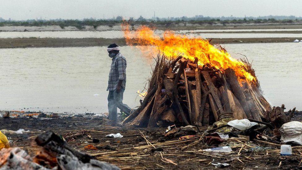 গঙ্গার তীরে ভেসে এল ৪০টির বেশি মরদেহ