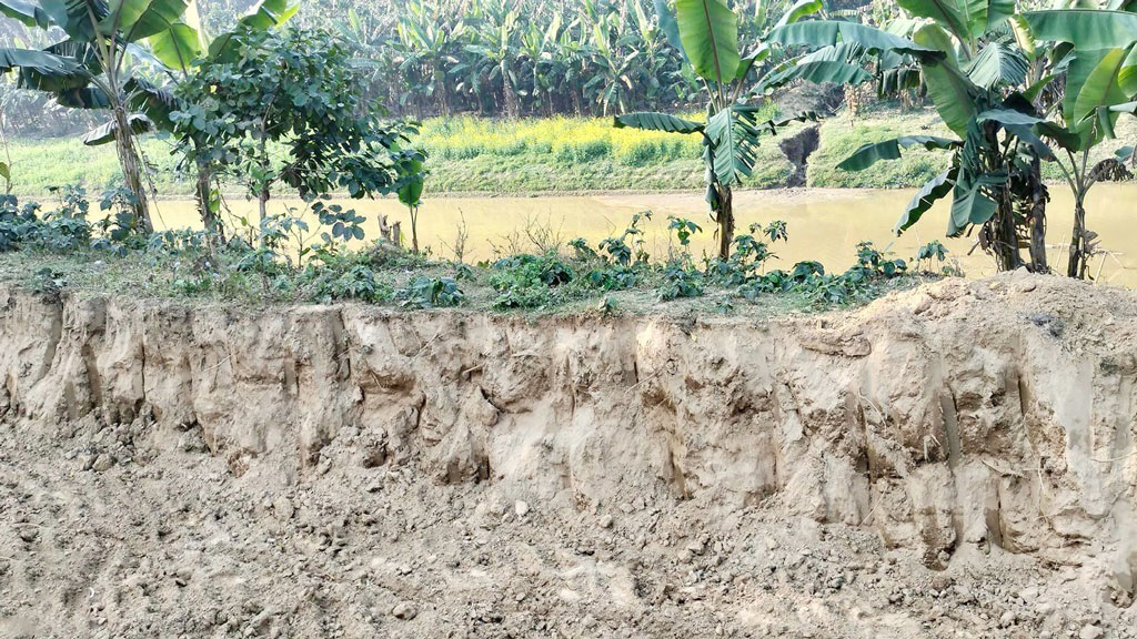 ফেনীর মুহুরী নদীর বেড়িবাঁধ এলাকার মাটি সাবাড়