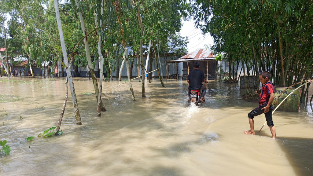 বিপৎসীমা ছুঁইছুঁই তিস্তা, বন্যার শঙ্কায় নদীতীরের মানুষ