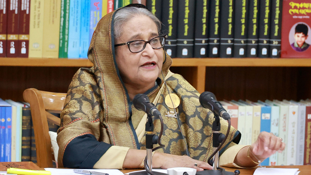 স্যাংশন দিয়ে আইনশৃঙ্খলা বাহিনীর কাছেই নিরাপত্তা চায়, এ কেমন কথা: প্রধানমন্ত্রী
