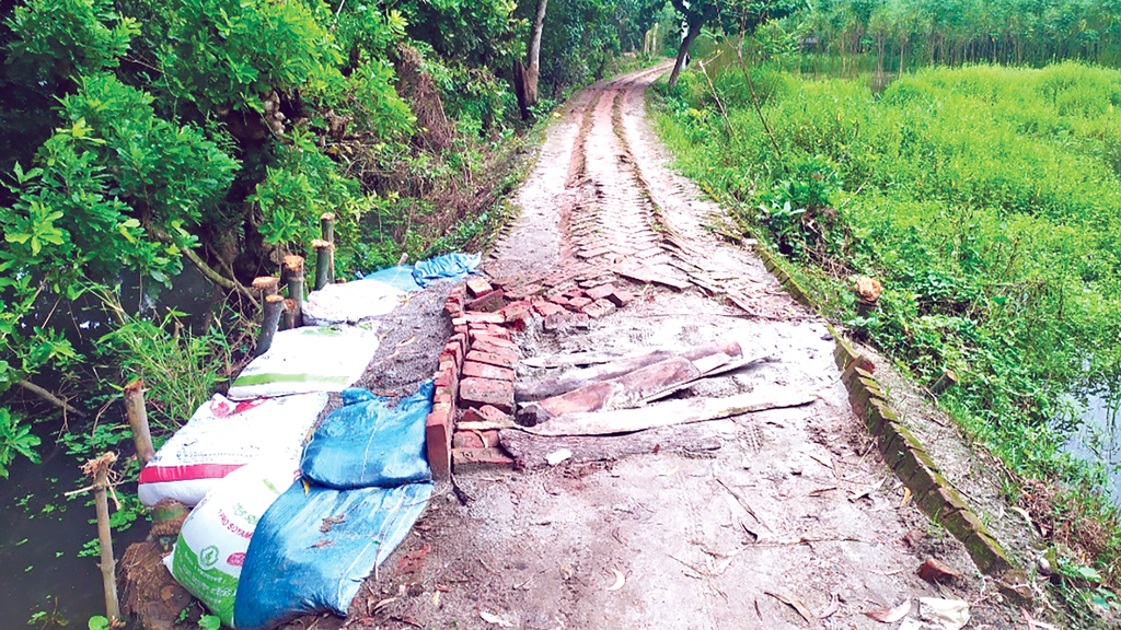 ইট সরে গিয়ে সড়কে ছোট-বড় গর্ত