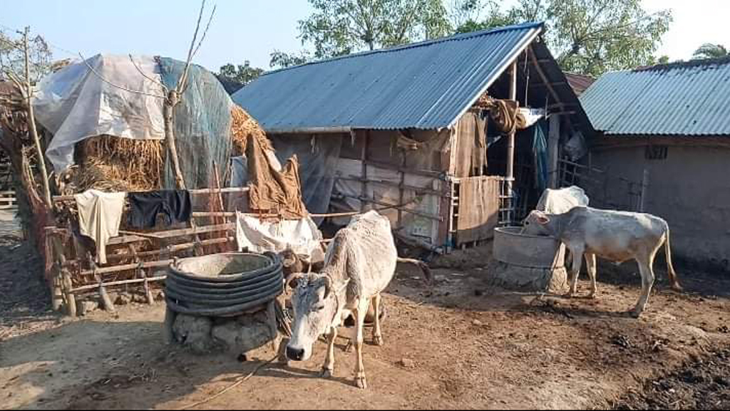 ৩২ মুন্ডা পরিবারের স্থায়ী ঠিকানা নেই